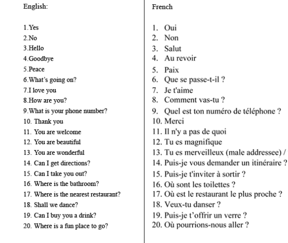 French phrases in English